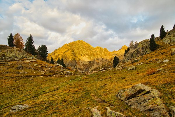 Quels sont les endroits pour observer les étoiles dans des observatoires astronomiques amateurs en montagne ?